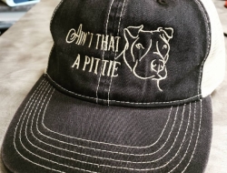 AintThatAPittie-min-1