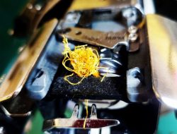 Embroidery Machine Birds Nest