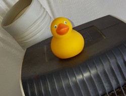 ShopDuckEFresh-min-1